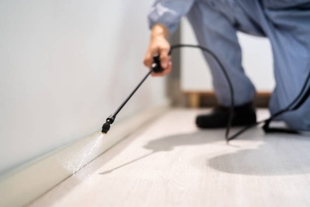 Pest Control Cost in Marissa, IL