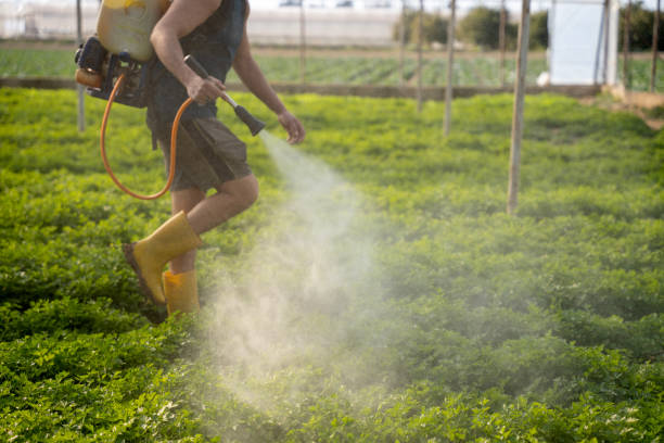 Insect Control in Marissa, IL
