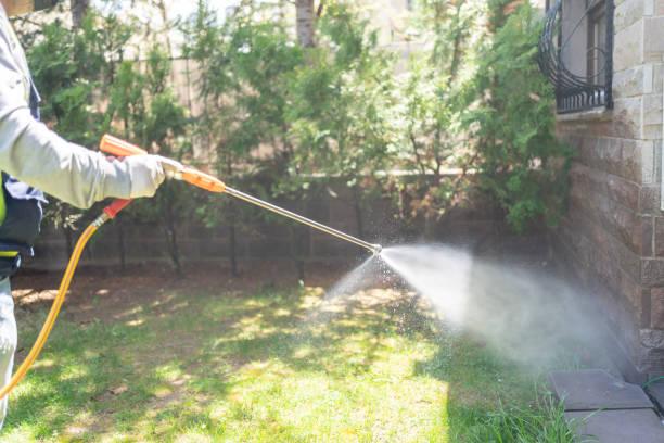 Best Termite Control Services  in Marissa, IL