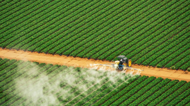 Best Pest Inspection Near Me  in Marissa, IL