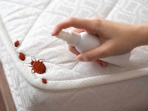 Best Best Pest Control Companies  in Marissa, IL